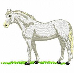Horses Embroidery Design 12